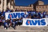 Avis comunale Livorno